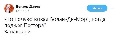 Доктор Далек @Gipotez4 Что почувствовал Волан-Де-Морт, когда поджег Поттера? Запах гари