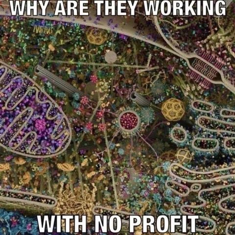 WHY ARE THEY WORKING WITH NO PROFIT