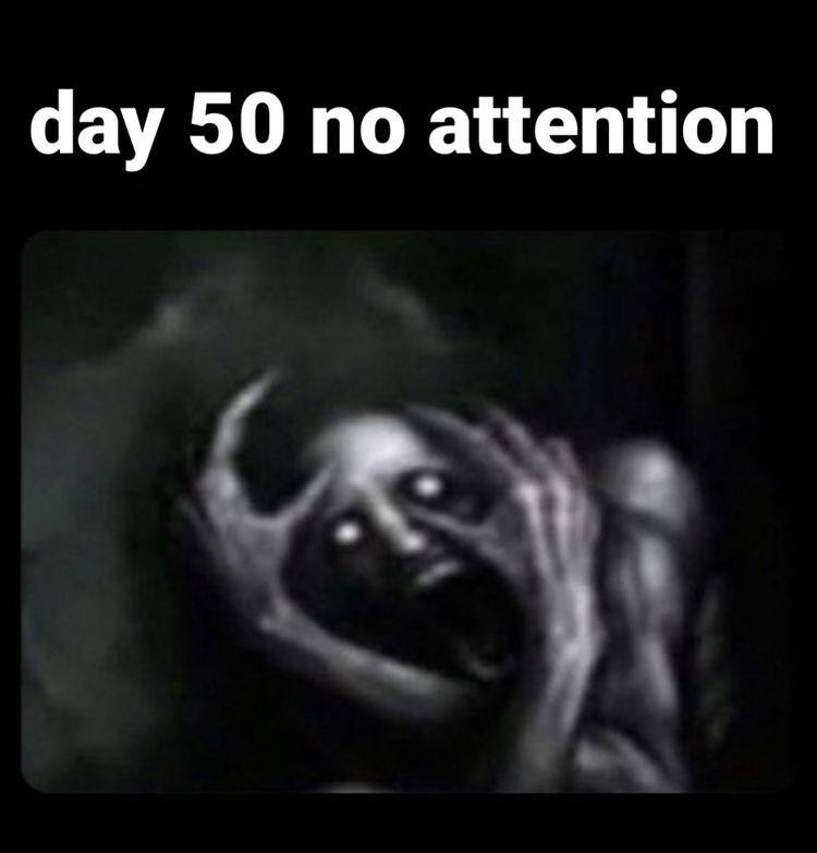 day 50 no attention