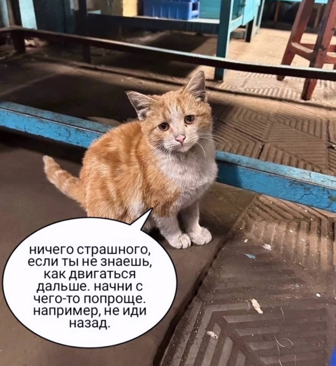 ничего страшного, если ты не знаешь, как двигаться дальше. начни с чего-то попроще. например, не иди назад.