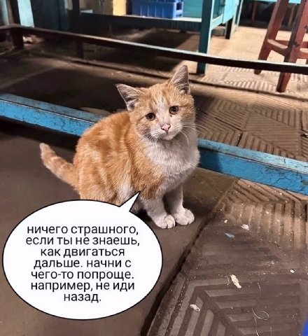 ничего страшного, если ты не знаешь, как двигаться дальше. начни с чего-то попроще. например, не иди назад.