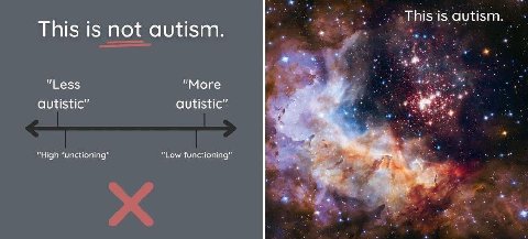 This is autism This is not autism. "Less "More autistic” autistic” at functioning” Low functioning”