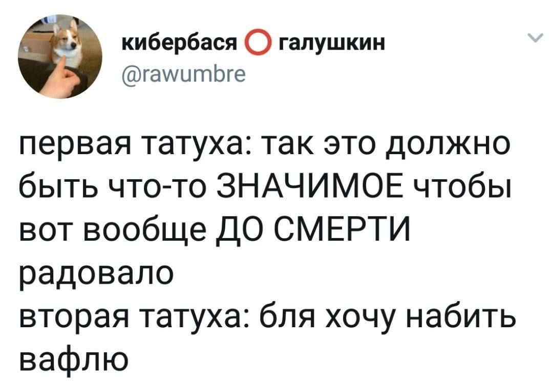 кибербася галушкин @rawumbre первая татуха: так это должно быть что-то ЗНАЧИМОЕ чтобы вот вообще ДО СМЕРТИ радовало вторая татуха: бля хочу набить вафлю