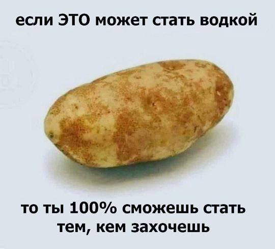 если ЭТО может стать водкой ЗА то ты 100% сможешь стать тем, кем захочешь