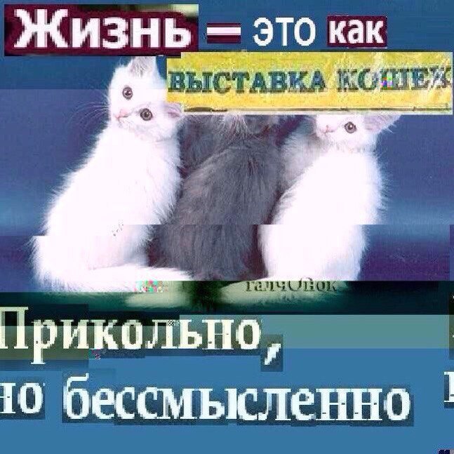 Жизнь 970 как Я и 7 прикольно 10 бессмысленно
