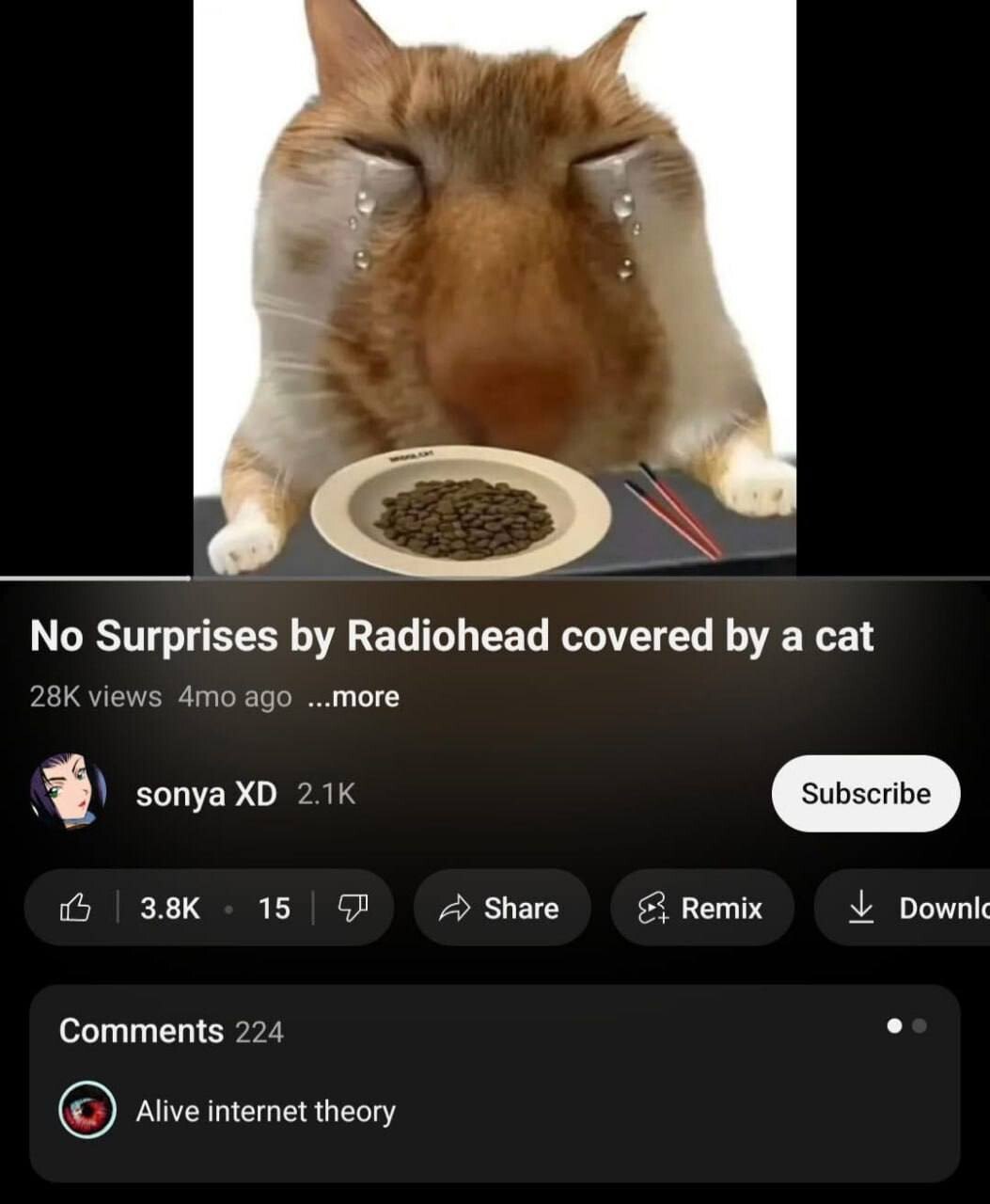 No Surprises Radiohead covered a cat sonya 15 Share Вепих У Comments Alive internet theory