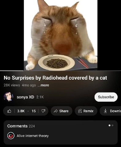 No Surprises Radiohead covered a cat sonya 15 Share Вепих У Comments Alive internet theory