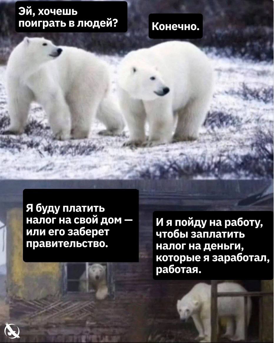 хочешь поиграть в людей? Конечно. 9 apt ate Я буду платить налог на свой дом И я пойду на работу, или его заберет чтобы заплатить правительство. налог на деньги, которые я заработал, работая.