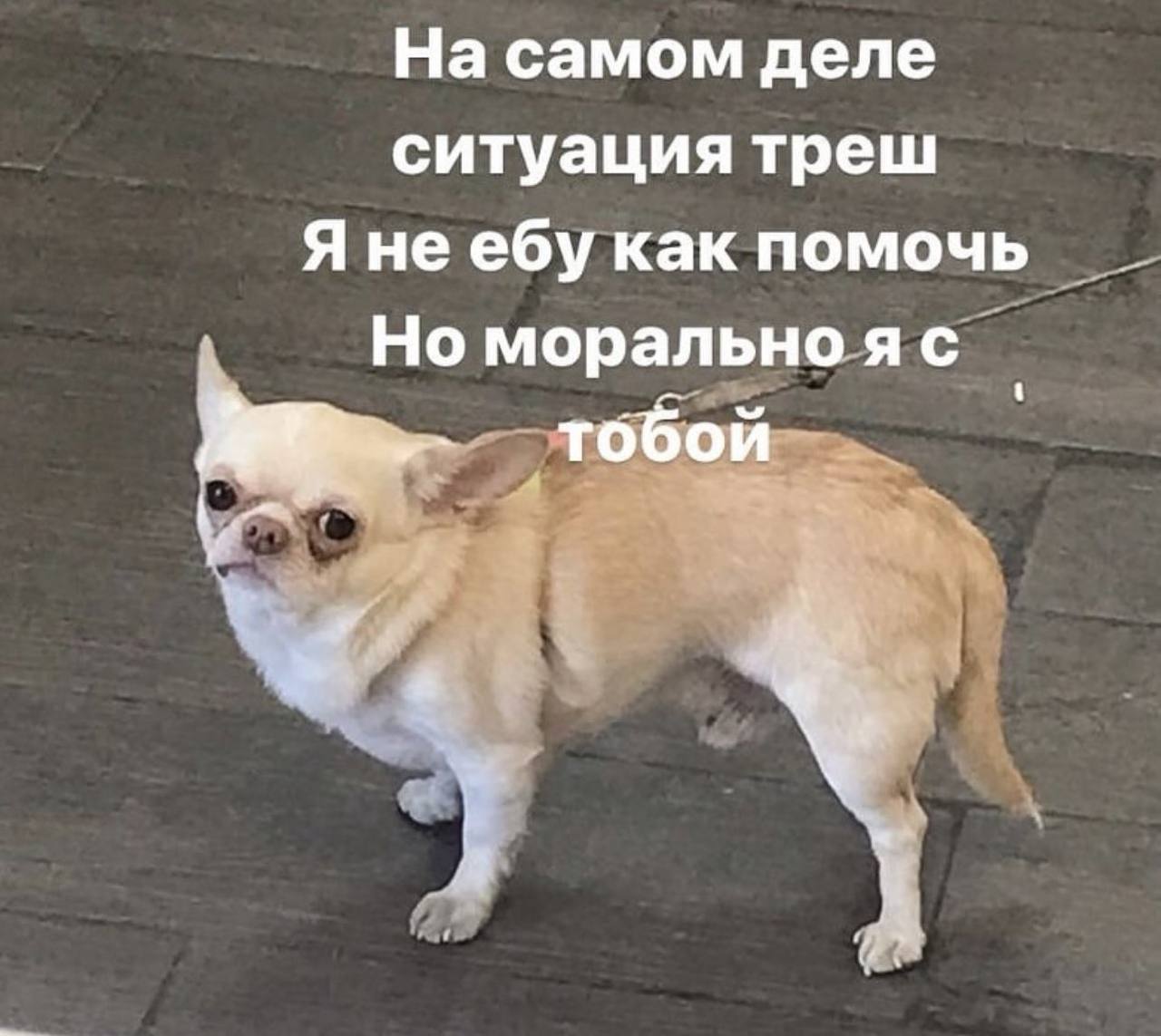 На самом деле ситуация треш Я неебу как помочь Но морально тобой a