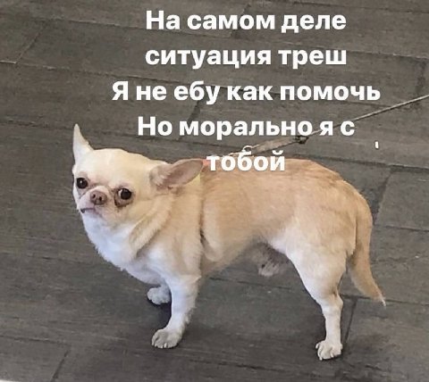 На самом деле ситуация треш Я неебу как помочь Но морально тобой a