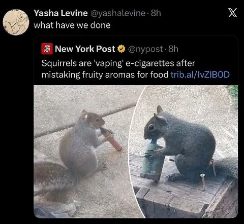Yasha Levine @yashalevine: what have we done New York Post @nypost: Squirrels are 'vaping' e-cigarettes after mistaking fruity aromas for food