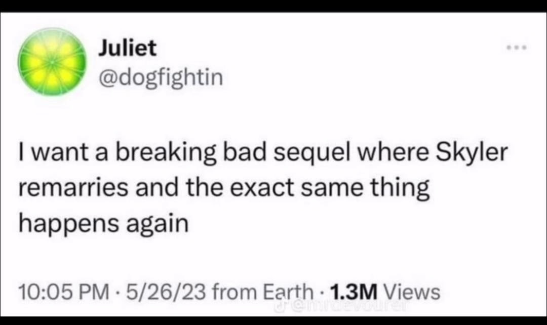 Juliet у @dogfightin want a breaking bad sequel where Skyler remarries and the exact same thing happens again 10:05 5/26/23 from Earth Views