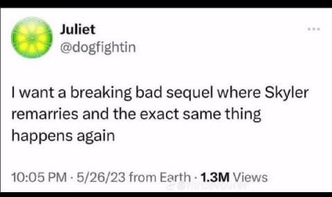 Juliet у @dogfightin want a breaking bad sequel where Skyler remarries and the exact same thing happens again 10:05 5/26/23 from Earth Views