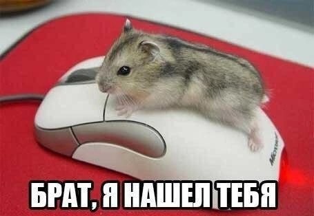 БРАТ, ТЕБЯ