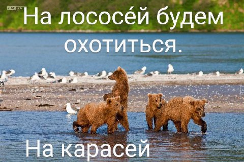 На лососей будем ОХОТИТЬСЯ. На карасей