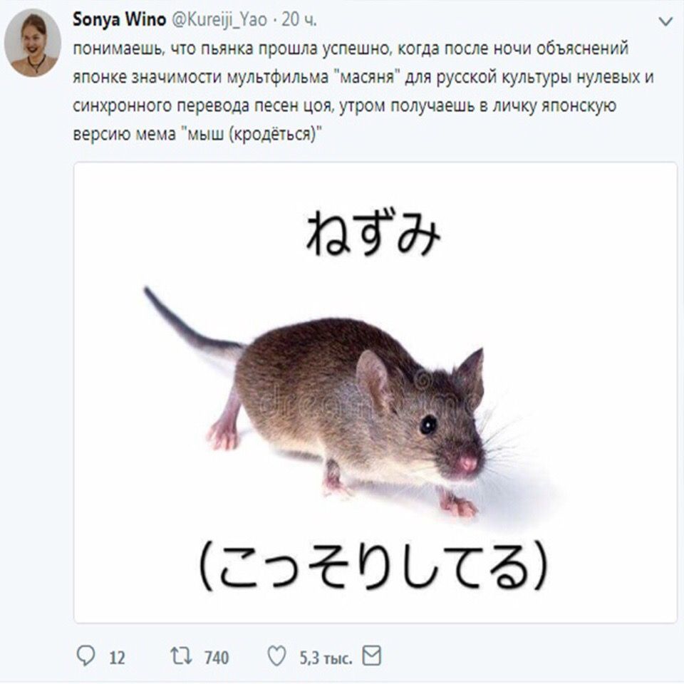 Sonya Wino 20 понимаешь, что пьянка прошла успешно, когда после ночи объяснений японке значимости мультфильма "масяня" для русской культуры нулевых и синхронного перевода песен цоя, утром получаешь в 