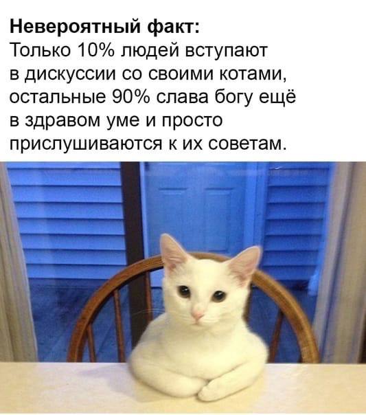 Невероятный факт: Только 10% людей вступают в дискуссии своими котами, остальные 90% слава богу ещё в здравом уме и просто прислушиваются к советам.