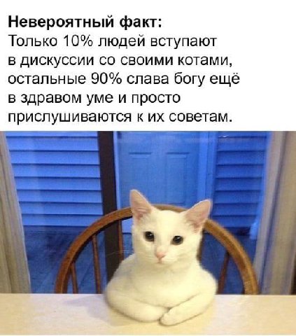 Невероятный факт: Только 10% людей вступают в дискуссии своими котами, остальные 90% слава богу ещё в здравом уме и просто прислушиваются к советам.