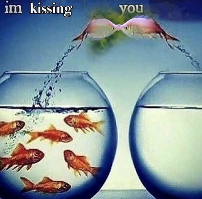 kissing: you 34