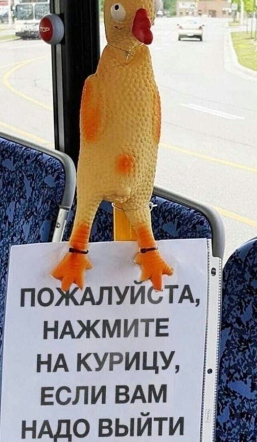 no УИСТА, НАЖМИТЕ НА КУРИЦУ, ЕСЛИ BAM НАДО ВЫЙТИ