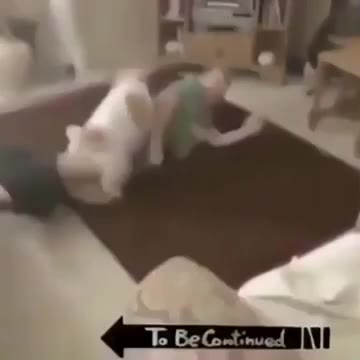Ффизттетаи