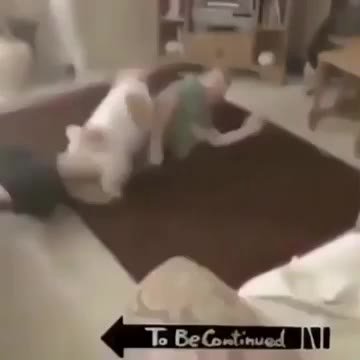 Ффизттетаи