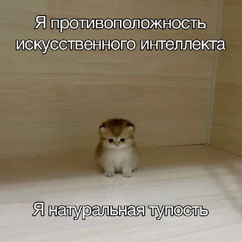 Я противоположность искусственного интеллекта Я натуральная