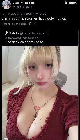Juan Urbina Х.сот @chileanigger (9 Translated from Spanish Grok ummm Spanish women have ugly nipples Rate this Batido (9 Translated from Spanish "Spanish women are so flat" fit 44 A