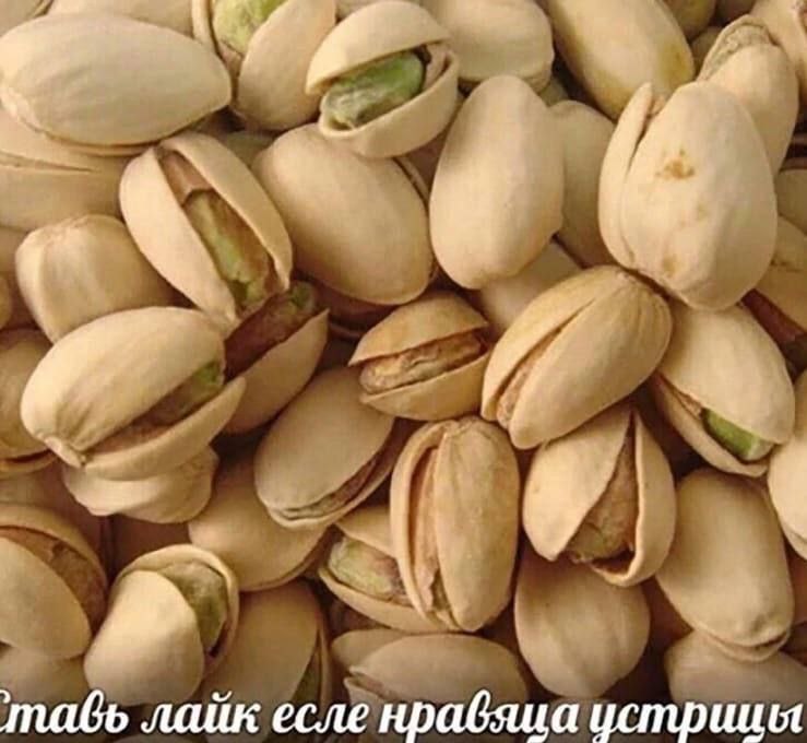 mabo лайк есле нрабяца устрицы