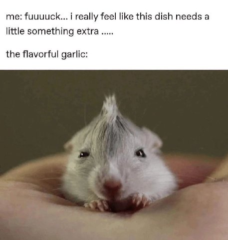 fuuuuck... i really feel like this dish needs а little something extra the flavorful garlic: