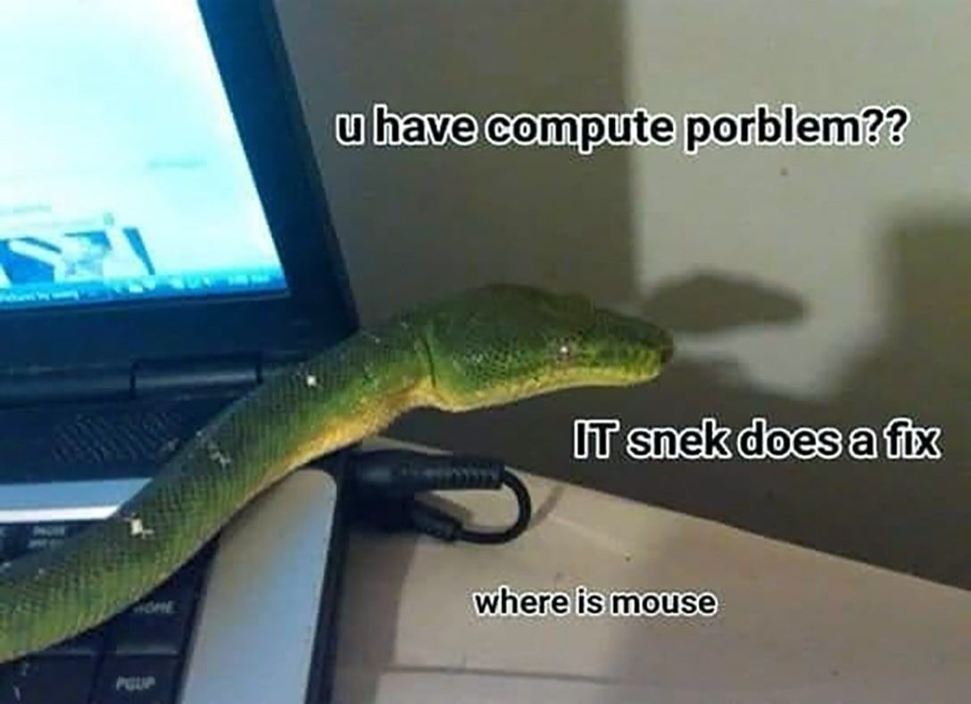 where is mous