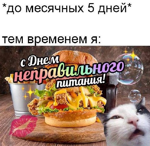 до месячных 5 тем временем я:
