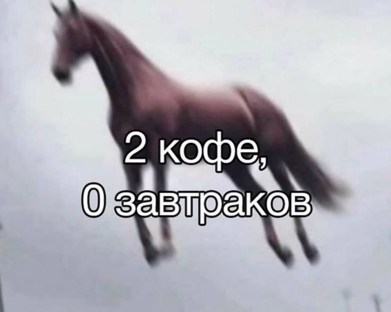 2 КОФЕ,