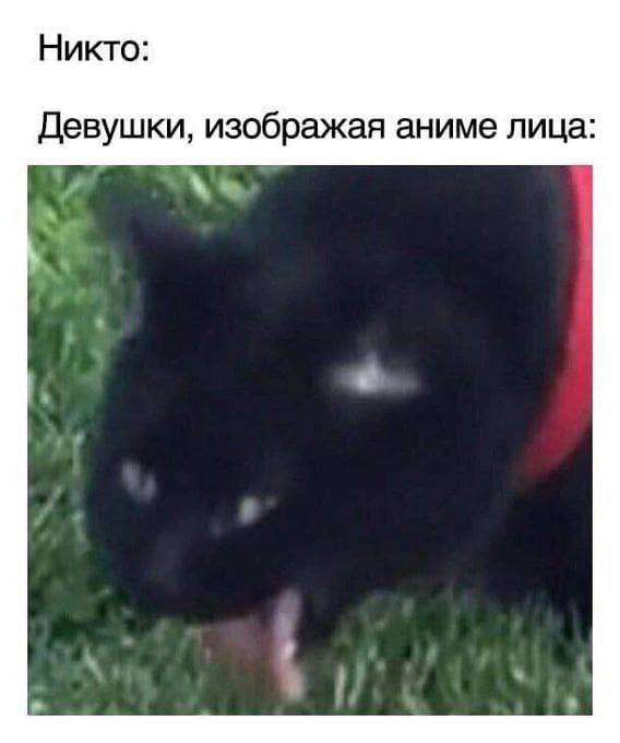 Никто: Девушки, изображая аниме лица