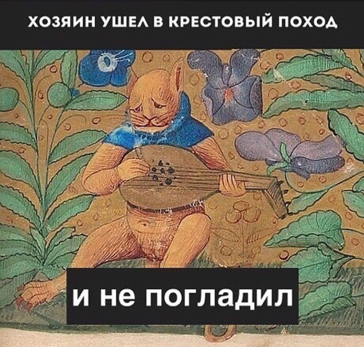 ХОЗЯИН УШЕЛ В КРЕСТОВЫЙ ПОХОД не погладил
