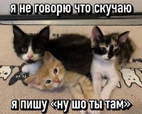 я не говорю что скучаю я пишу «ну ты там»