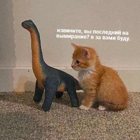 извините, вы последний на вымирание? я за вами буду.