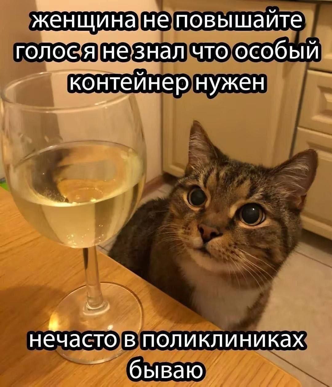 женщина не повышайте голося незнал что особый ‘контейнер нужен нечасто в поликлиниках бываю