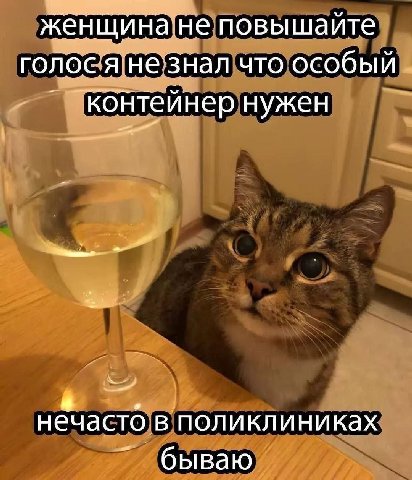 женщина не повышайте голося незнал что особый ‘контейнер нужен нечасто в поликлиниках бываю