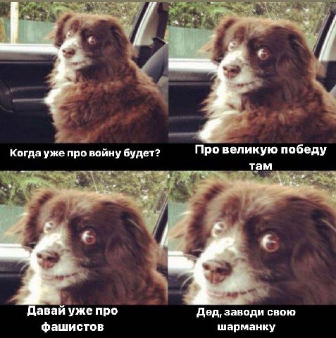 Когда уже про войну будет? Про великую победу 7 там В Давай уже про Дед, заводи свою фашистов шарманку