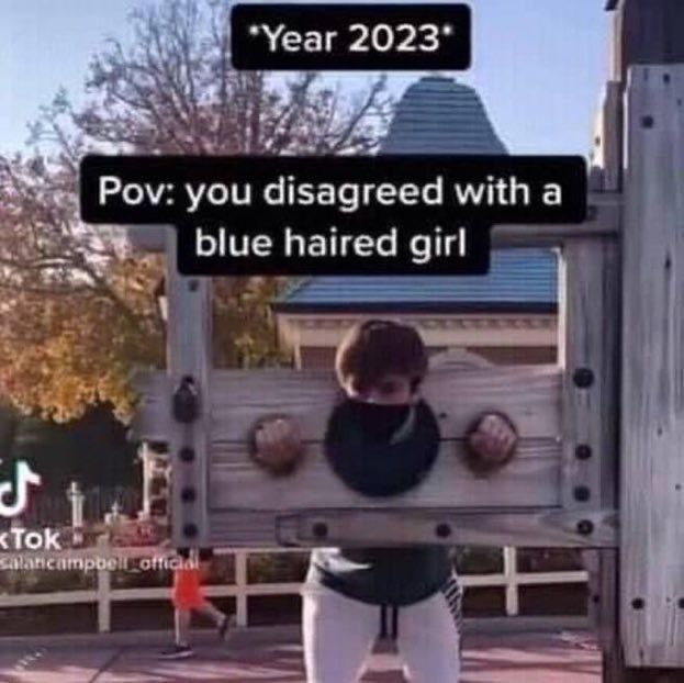Pov: you disagreed with а blue hatred girl Ток. у
