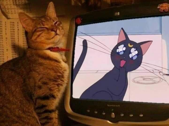у 7