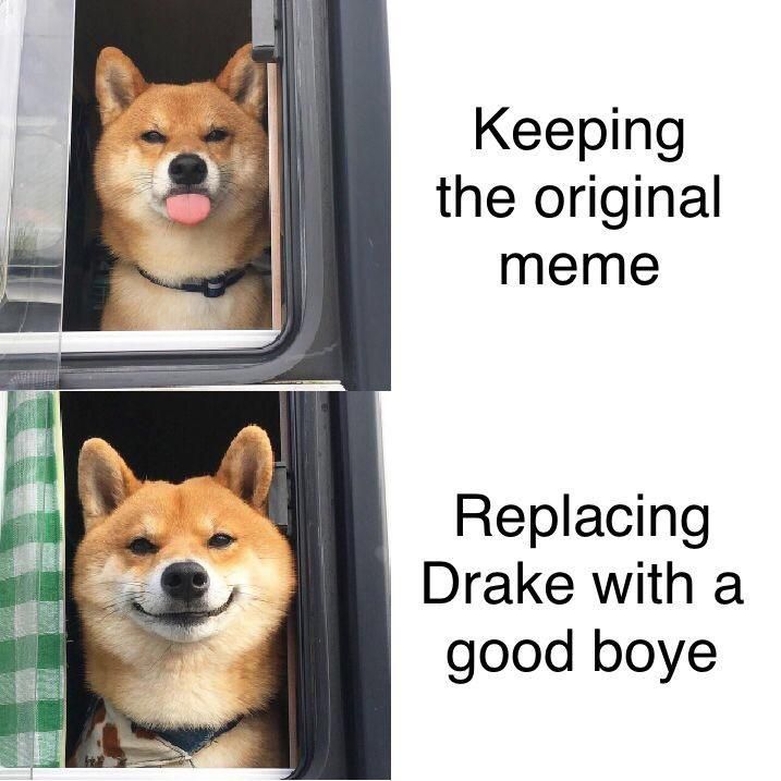 Keeping the original meme в Replacing Drake with а 4 good boye