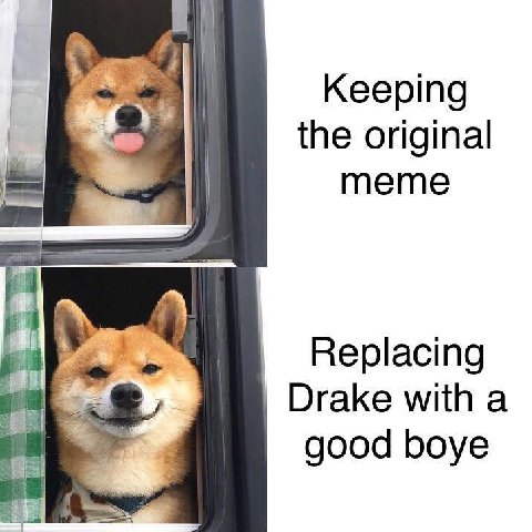 Keeping the original meme в Replacing Drake with а 4 good boye