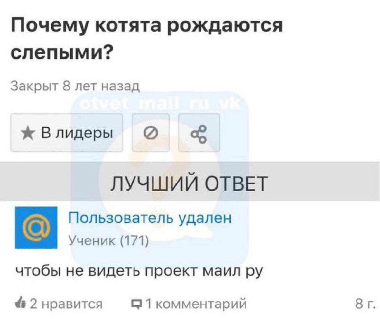Почему котята рождаются слепыми? Закрыт 8 лет назад ж Влидеры ЛУЧШИЙ ОТВЕТ Пользователь удален Ученик (171) чтобы не видеть проект маил 4 2 нравится С 1 комментарий