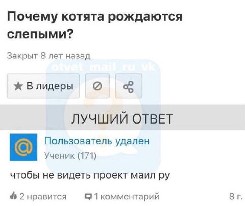Почему котята рождаются слепыми? Закрыт 8 лет назад ж Влидеры ЛУЧШИЙ ОТВЕТ Пользователь удален Ученик (171) чтобы не видеть проект маил 4 2 нравится С 1 комментарий