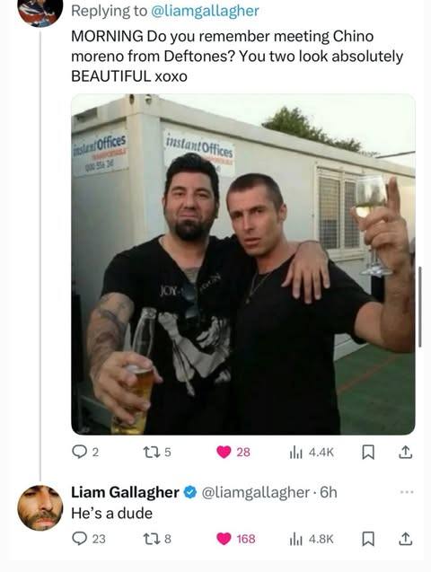 Replying to @liamgallagher MORNING you remember meeting Chino moreno from Deftones? You two look absolutely BEAUTIFUL xoxo а 1315 28 A Liam Gallagher @liamgallagher He’s 23 138 153 4.8К