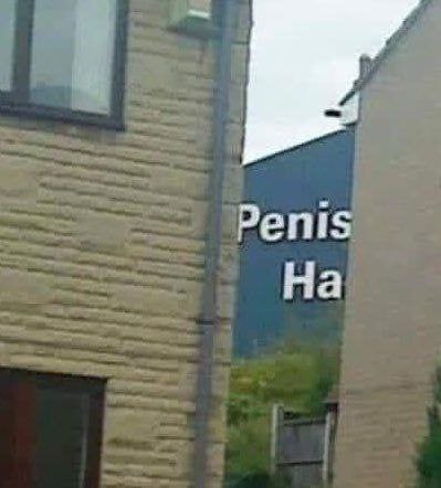 Penis