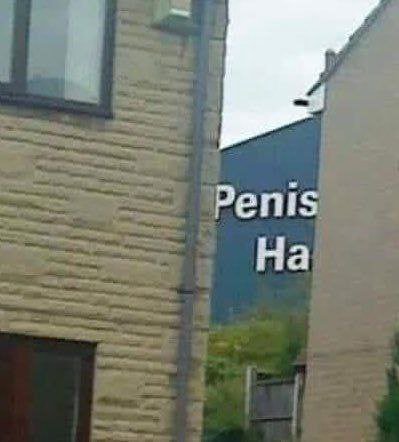 Penis