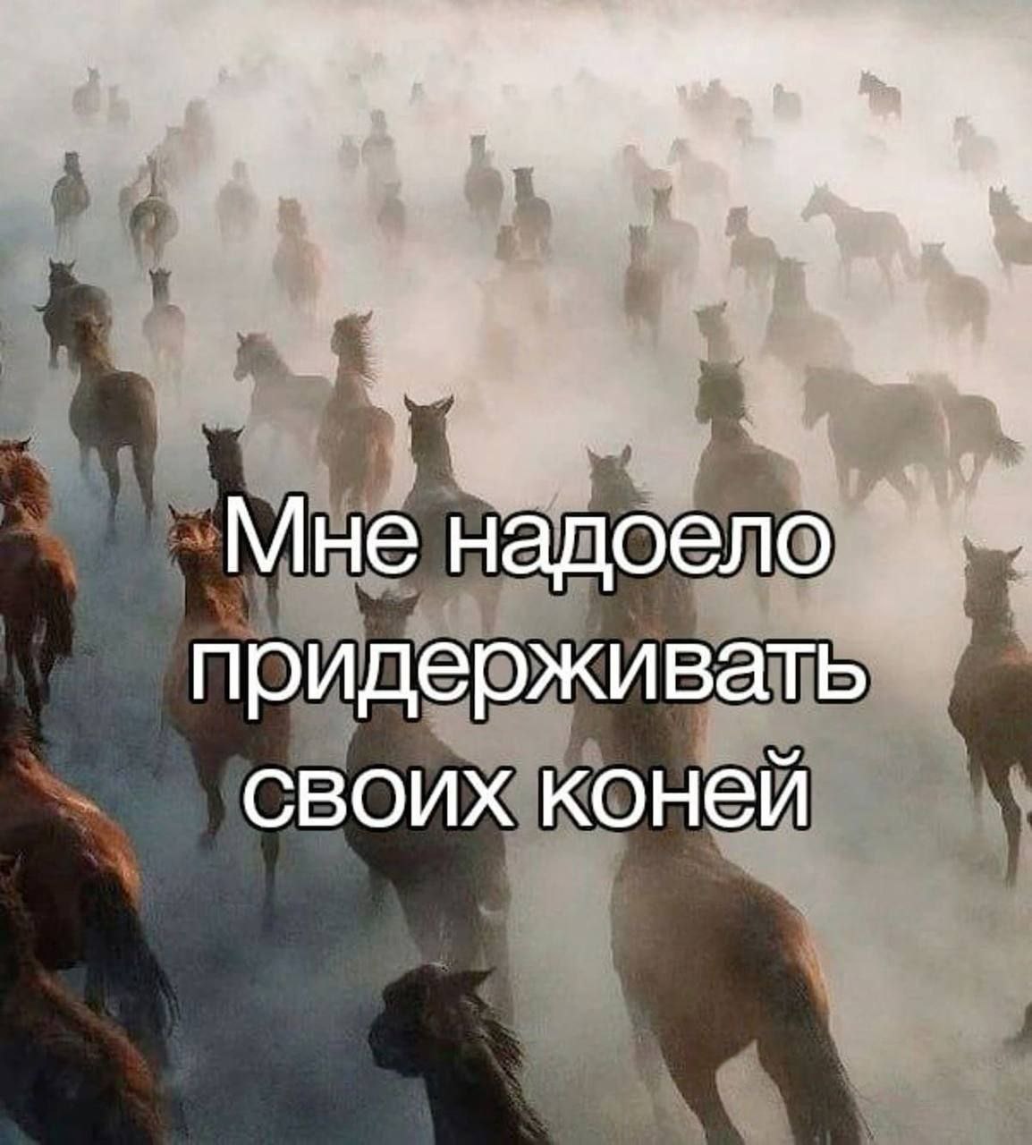 Мне надоело придерживать своих коней